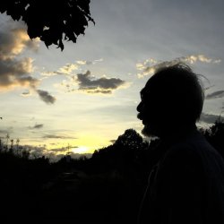 Hayao Miyazaki and the Heron Still 2