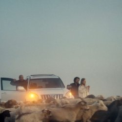 JOQTAU STILL_2