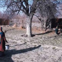 Дерево судьбы кадры 2