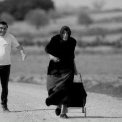 Land Of Our Mothers Still 1